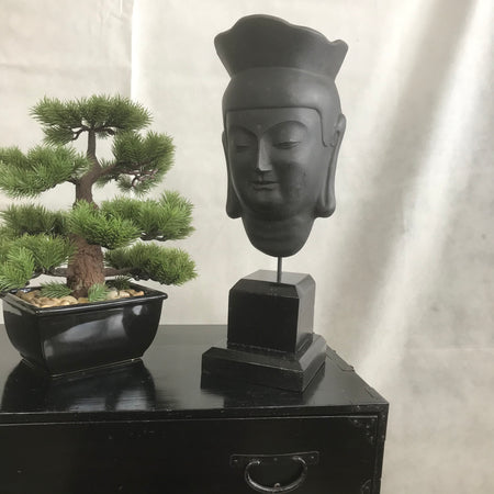 Buddha head - Yamazakura