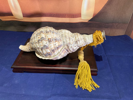 Horagai shell trumpet - Yamazakura