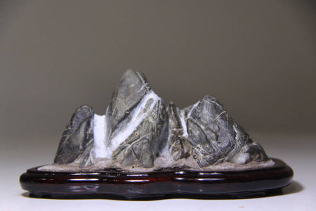 suiseki - Yamazakura