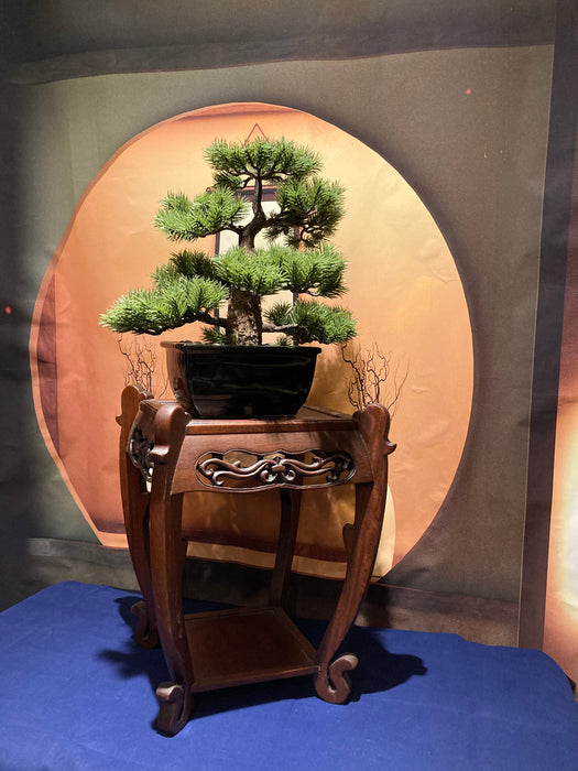 Bonsai table - Yamazakura